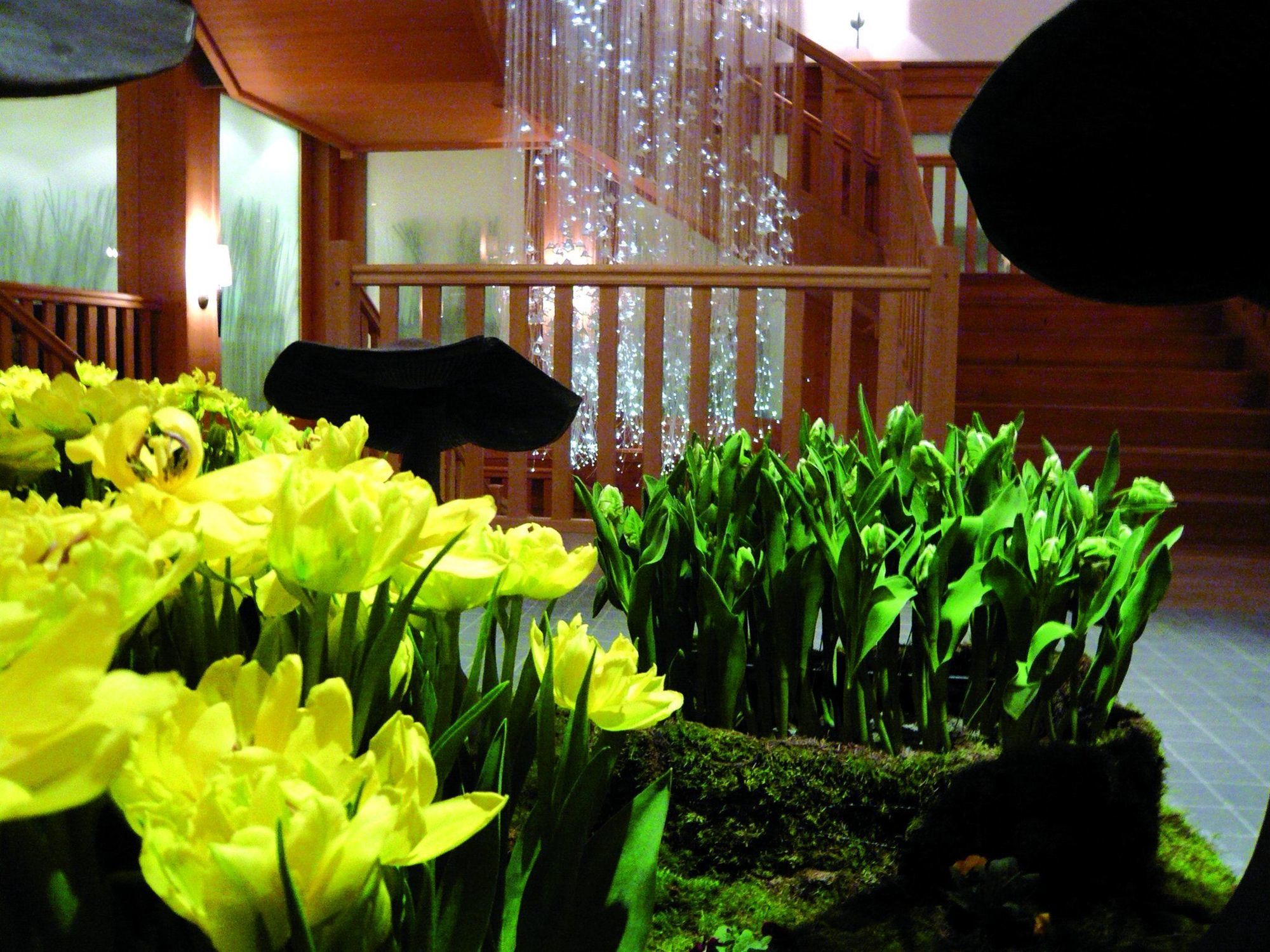 Chalet Royalp Hotel & Spa Віляр-на-Олоні Інтер'єр фото